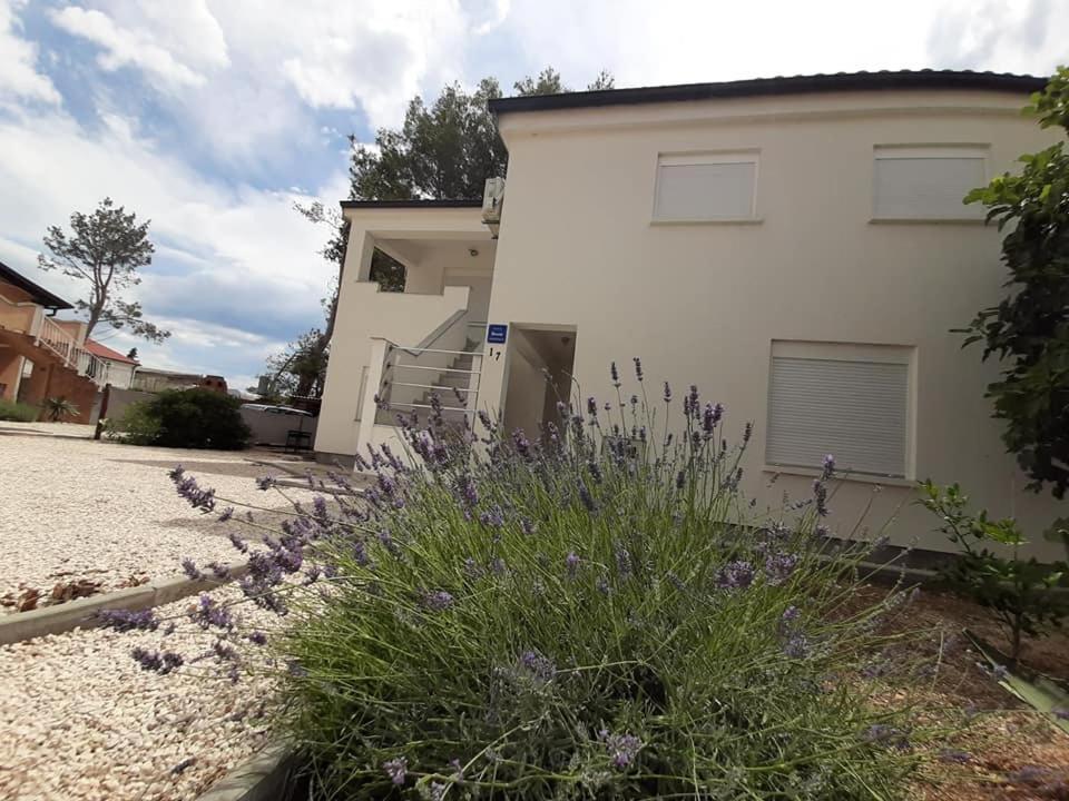 Apartman Bunaric Vir Exterior foto